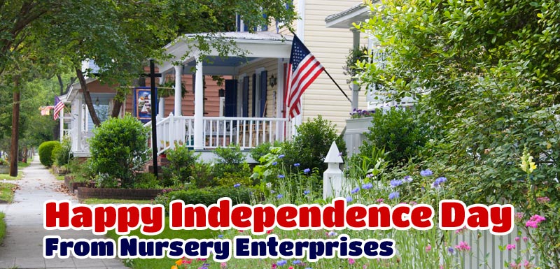 Independence Day Gardening