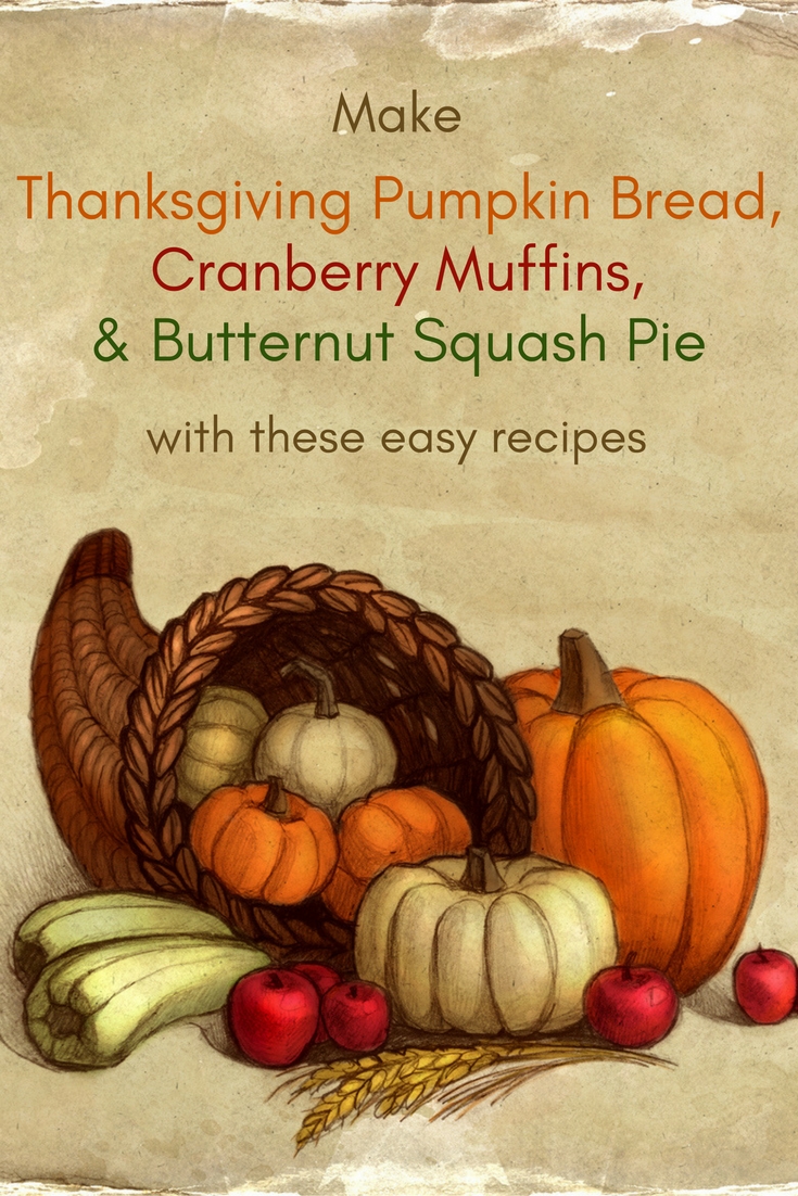 Make Thanksgiving Pumpkin Bread, Cranberry Muffins, & Butternut Squash Pie Recipes