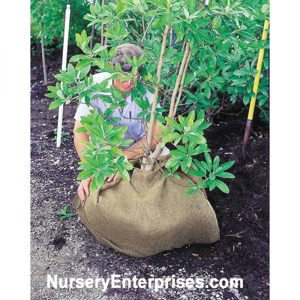 Burlap Roll 4' x 100' | Nursery Enterprises