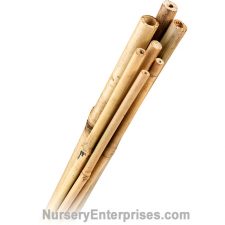 500 Bamboo Stakes 3/8" x 3' | Nursery Enterprises