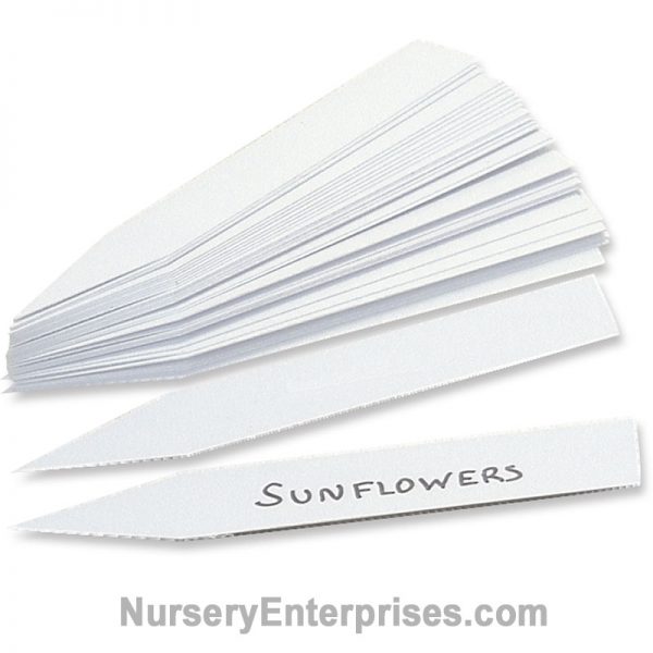 Plastic Plant Labels - 3/4" x 4" | Nursery Enterprises