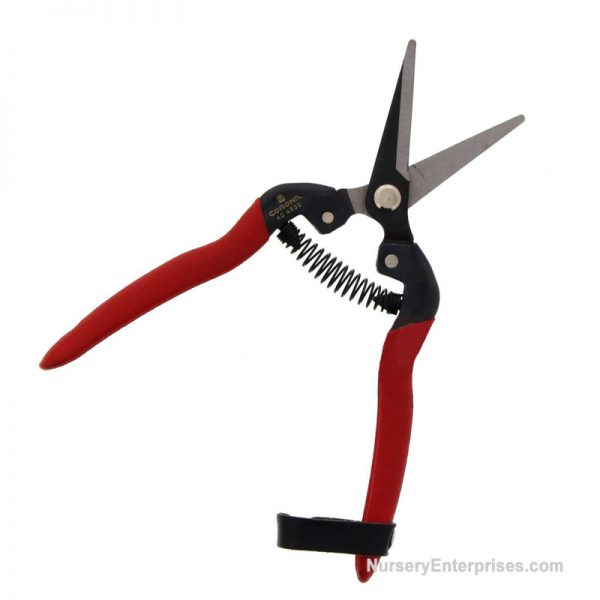 Corona AG 4930 Pruner - quantity 12 | Nursery Enterprises