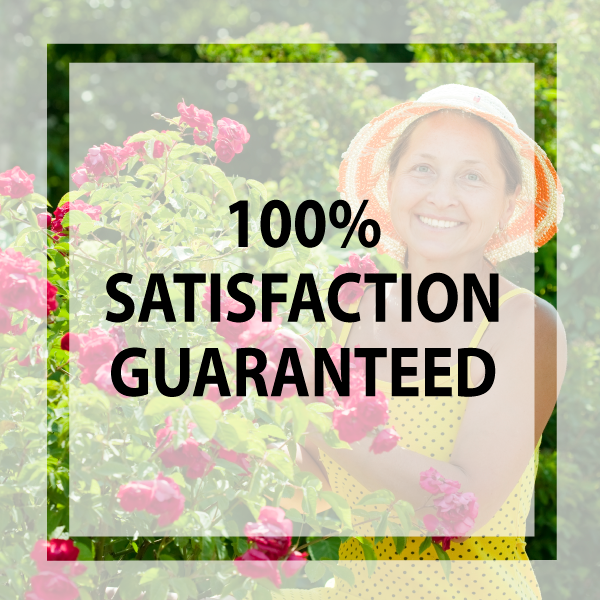 Garden Nursery Satisfaction Guaranteed | Nursery Enterprises